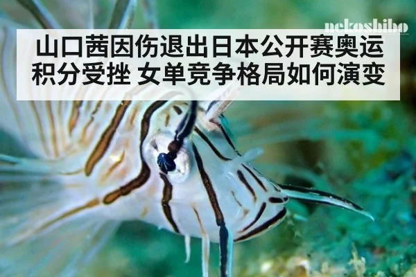 山口茜因伤退出日本公开赛奥运积分受挫 女单竞争格局如何演变