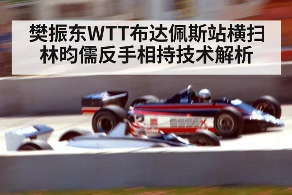 樊振东WTT布达佩斯站横扫林昀儒反手相持技术解析